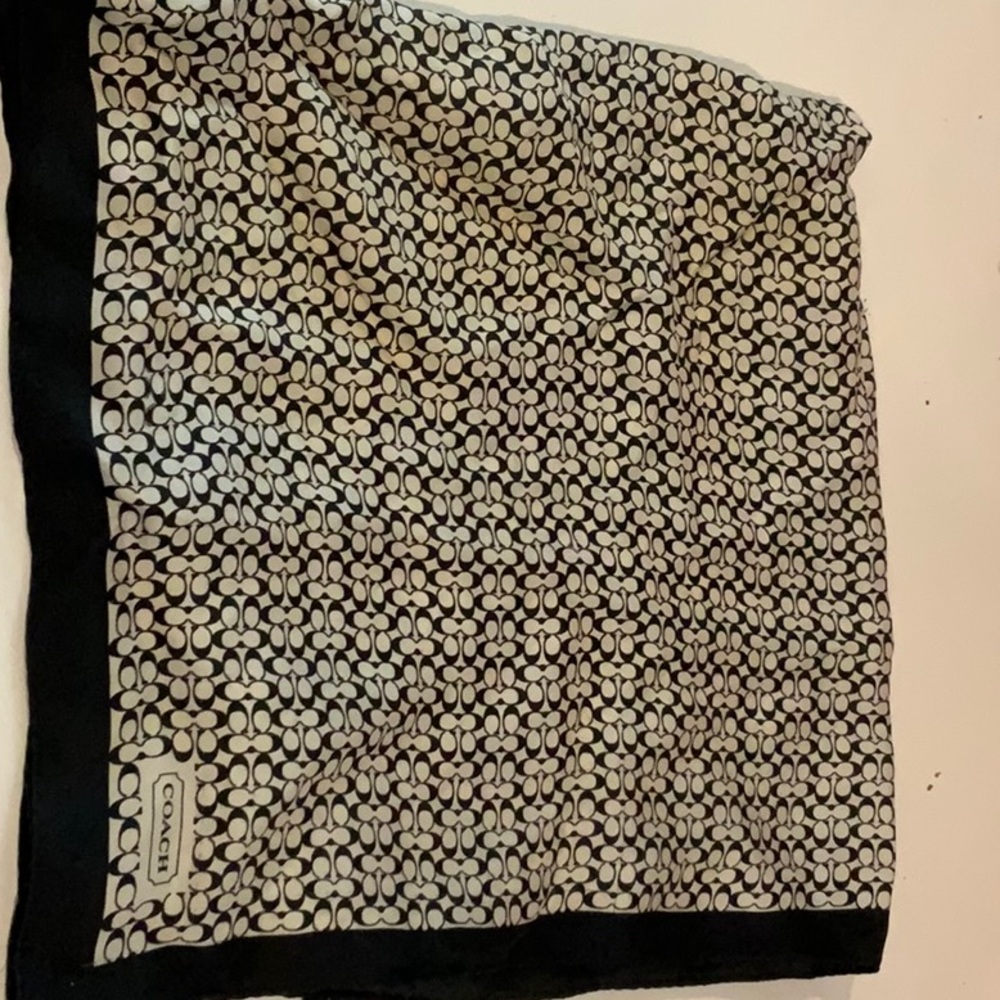 Coach scarf